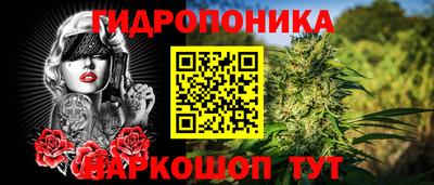 дурь Бийск
