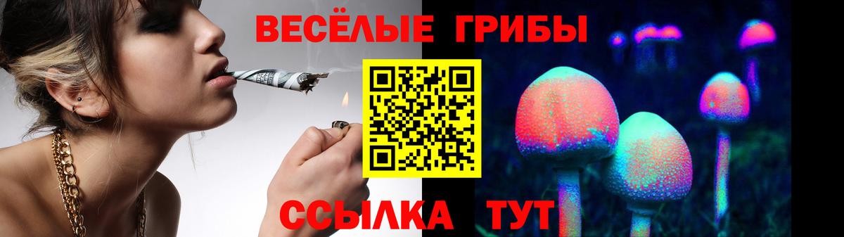 Галлюциногенные грибы Magic Shrooms Березники